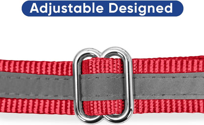 Pawtitas Chain Martingale Dog Collar Puppy Collar Reflective Dog Collar Training Dog Collar Behavioral Dog Chain Collar Collar Medium Dog Collar Green Dog Collar