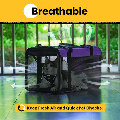 Conlun Cat Carrier Bag,Soft-Sided Pet Carriers for Dogs with 4-Sided Mesh,Airline Approved Cat Transport Carrier for Small&Medium Cats Kitten Puppy Up to 6Kg,Collapsible Cat Travel Carrier-M,Black