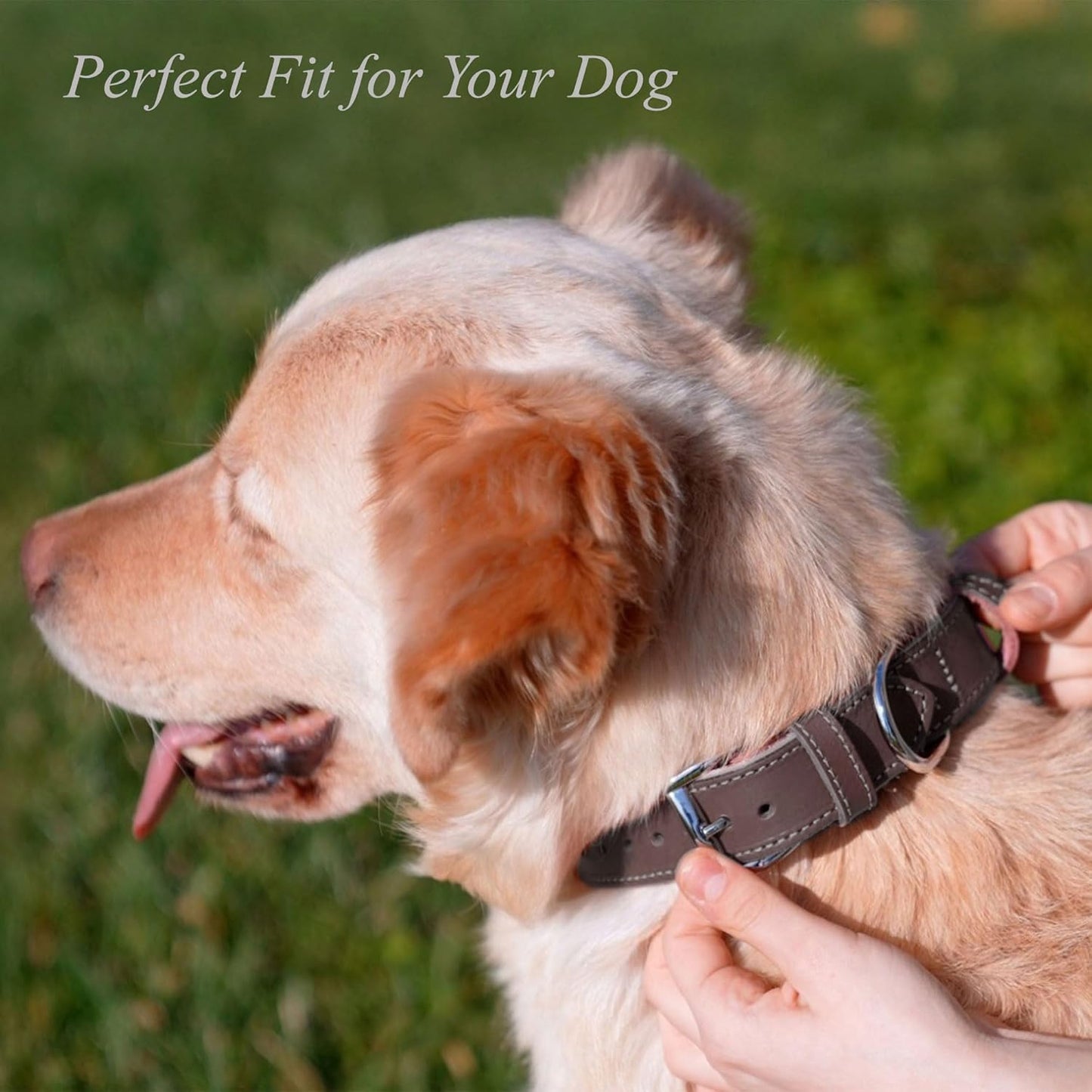 TORRUNA Soft Leather Dog Collar | Dog Collars for Small, Medium and Large Dogs | Durable Heavy Duty Dog Collars