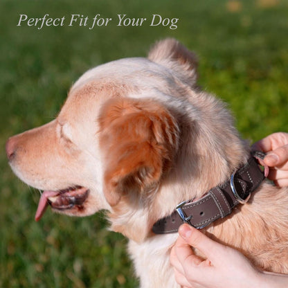 TORRUNA Soft Leather Dog Collar | Dog Collars for Small, Medium and Large Dogs | Durable Heavy Duty Dog Collars