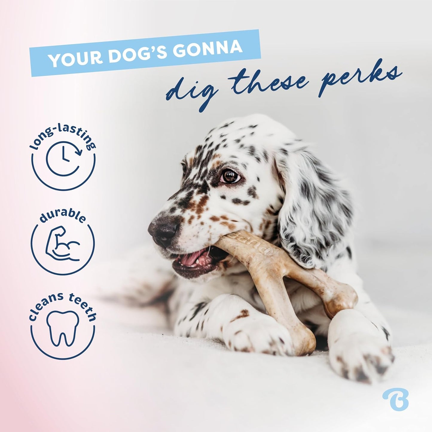 Benebone 4-Pack Durable Dog Chew Toys for Aggressive Chewers, Real Flavors, Made in USA, Medium