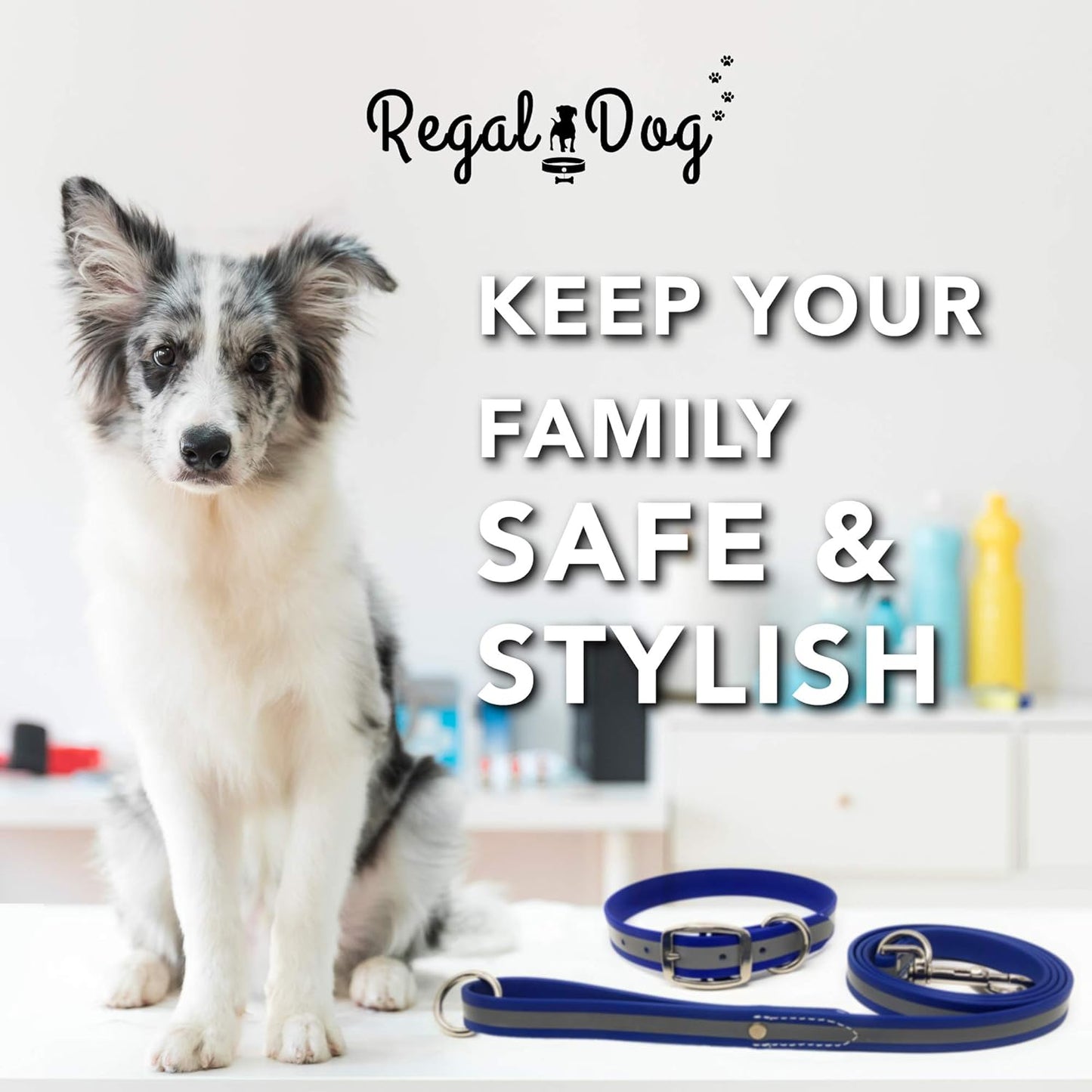 Regal Dog Products Heavy Duty Reflective Dog Collar – Adjustable and with Durable Metal Buckle and Rings Anti-Odor, chew Resistant, Waterproof Dog Collar for Small Medium and Large Dogs (Large, Pink)