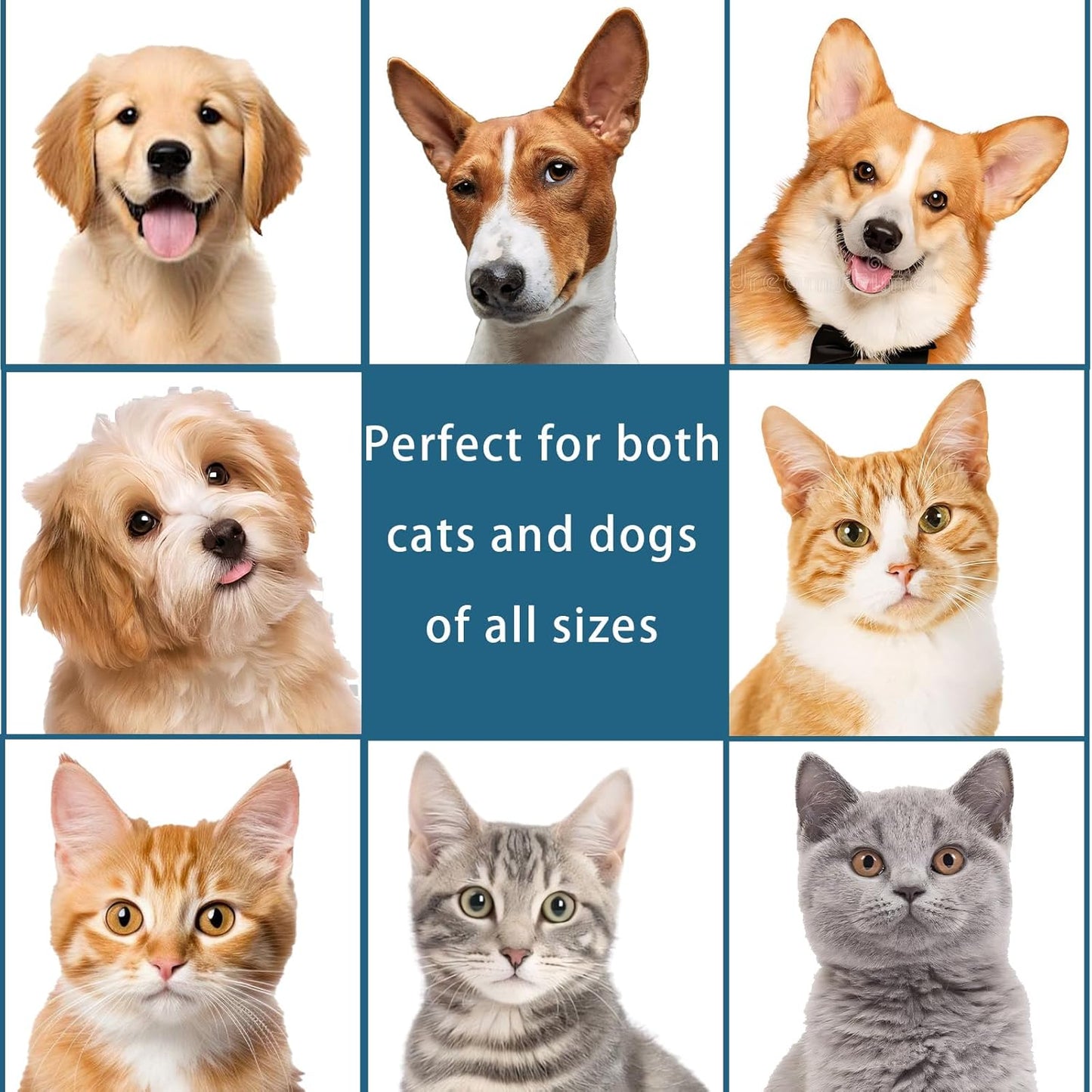 Cat Steam Brush for Dogs & Cats – 3-in-1 Pet Deshedding Tool for Long & Short Haired Pets, Grooming Shedding Brush-Contains shampoo