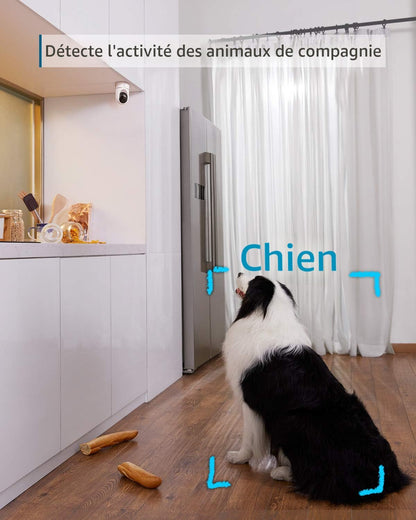 eufy Security Kit de 2 caméras d'intérieur E220 2K, caméra de sécurité intérieure panoramique et inclinable, caméra à brancher avec Wi-Fi, IA humaine et animale, compatibilité avec assistant vocal