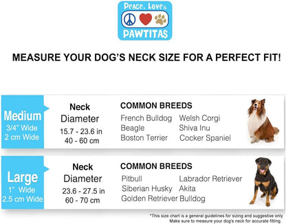 Pawtitas Chain Martingale Dog Collar Puppy Collar Reflective Dog Collar Training Dog Collar Behavioral Dog Chain Collar Collar Medium Dog Collar Green Dog Collar