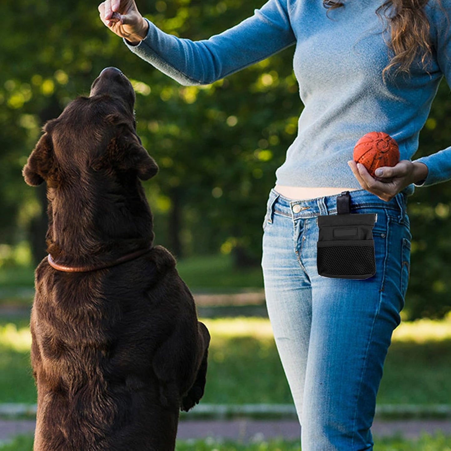 Dog Treat Waist Pouch, Dog Treat Bag Multiple Pockets Dog Treat Carrier Holder with Belt Clip for Puppy Dog Outdoor Walking Training Behavior Aids (Black)