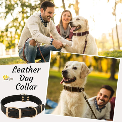 ADITYNA Heavy-Duty Leather Dog Collar for Medium Dogs - Soft and Strong, 100% Genuine Leather - Collier Pour Chien (Medium: Fit 13" - 20" Neck, Brown)