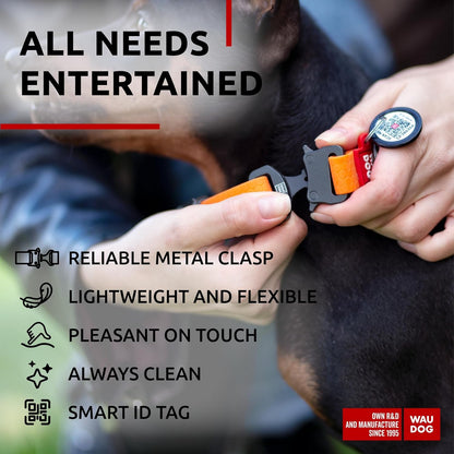 Waterproof Dog Collar - Adjustable Glow Dog Collar for Large Dogs, Small and Medium Dogs - Heavy Duty Dog Collars with Durable Metal Clasp and QR Dog Tag - Glow in The Dark Dog Collars