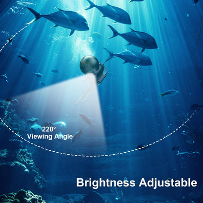 Underwater Fishing Camera, Portable Video Cameras Fish Finder, 5 Inch HD LCD Monitor, 8pcs Infrared Lights Night Vision, Waterproof Fishing Camera for Ice Lake Boat Sea Kayak Fishing
