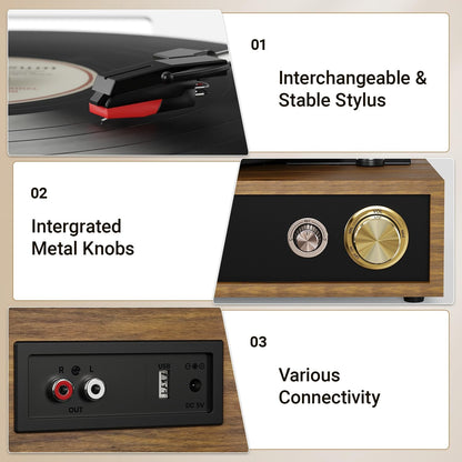 Record Player, FYDEE Vinyl Player with Bluetooth 3-Speed Turntable for Vinyl Records (33/45/78 RPM) with Built-in Bluetooth Receiver & Transmitter, RCA Out/USB in, Dust Cover (Ebony)