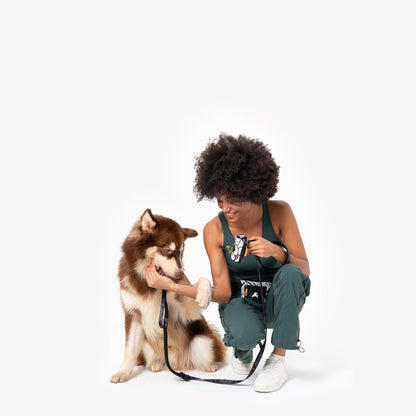 OllyDog Goodie Treat Bag, Dog Treat Pouch, Waist Belt Clip for Hands-Free Training, Magnetic Closure, Dog Training and Behavior Aids, Three Ways to Wear (Abbey Stone)