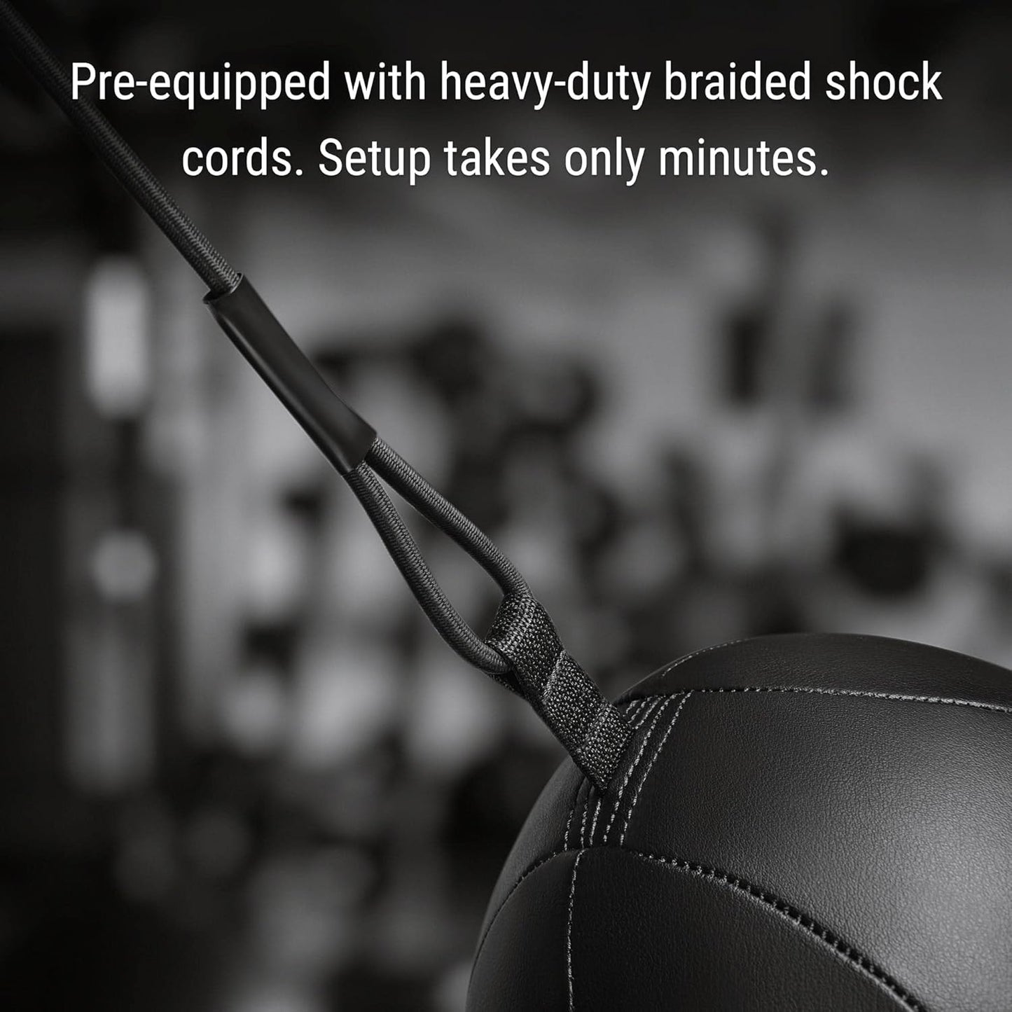 Hayabusa Classic Sphere Double Ended Bag - Black, 12 Inches