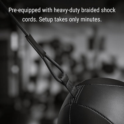 Hayabusa Classic Sphere Double Ended Bag - Black, 12 Inches