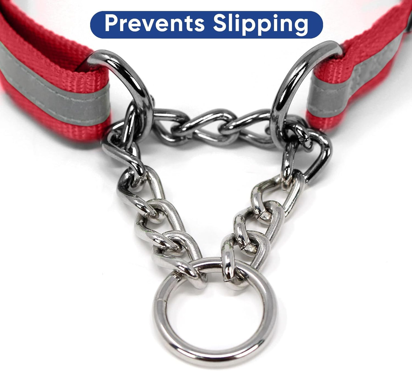 Pawtitas Chain Martingale Dog Collar Puppy Collar Reflective Dog Collar Training Dog Collar Behavioral Dog Chain Collar Collar Medium Dog Collar Green Dog Collar