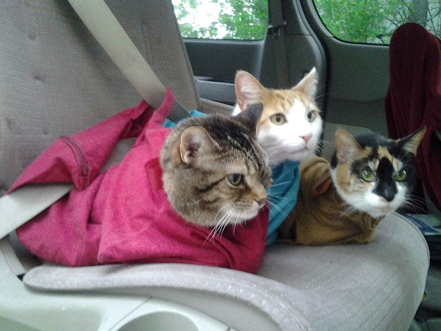 Cat-in-the-Bag Cozy Comfort Carrier - Small Caramel Pet Carrier for Cat and Cat Restraint for Medication Administration, Nail Clipping, Travel, Vet Visits, and Dental Care
