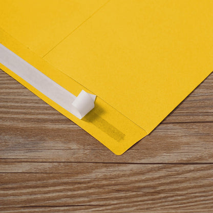 Tanshuqin 9" x 12.75" Self-Seal Catalog Envelopes 32lb Kraft Envelopes for Invitation Cards, Organizing and Storage, Pictures, Photos, Documents (100 PCS)