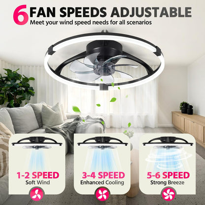 20 Inch Fandelier Ceiling Fan with Lights and Remote Black