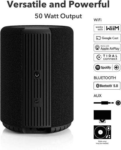 Audio Pro A10 MKII Wireless Multiroom Speaker, WiiM Edition | High Fidelity, Bluetooth, WiFi | Compatible with AirPlay 2, Google Cast, Siri, WiiM Home App, Stream Spotify, Tidal & More, Dark Gray
