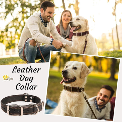 ADITYNA Heavy-Duty Leather Dog Collar for Medium Dogs - Soft and Strong, 100% Genuine Leather - Collier Pour Chien (Medium: Fit 13" - 20" Neck, Brown)