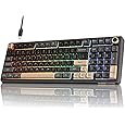 RK ROYAL KLUDGE RK100 Wireless Mechanical Keyboard, Bluetooth5.1/2.4G/Wired 96% Full Size 100-Key Hot Swappable Gaming Keyboard with 3 USB Ports, Blue Switch for Mac Windows, Carbon