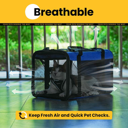 Conlun Cat Carrier Bag,Soft-Sided Pet Carriers for Dogs with 4-Sided Mesh,Airline Approved Cat Transport Carrier for Small&Medium Cats Kitten Puppy Up to 6Kg,Collapsible Cat Travel Carrier-M,Black