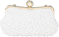 DTGN Clutch Purse Evening Clutch Bag Handbag Cross Body Bag for Women Formal Wedding Club Party