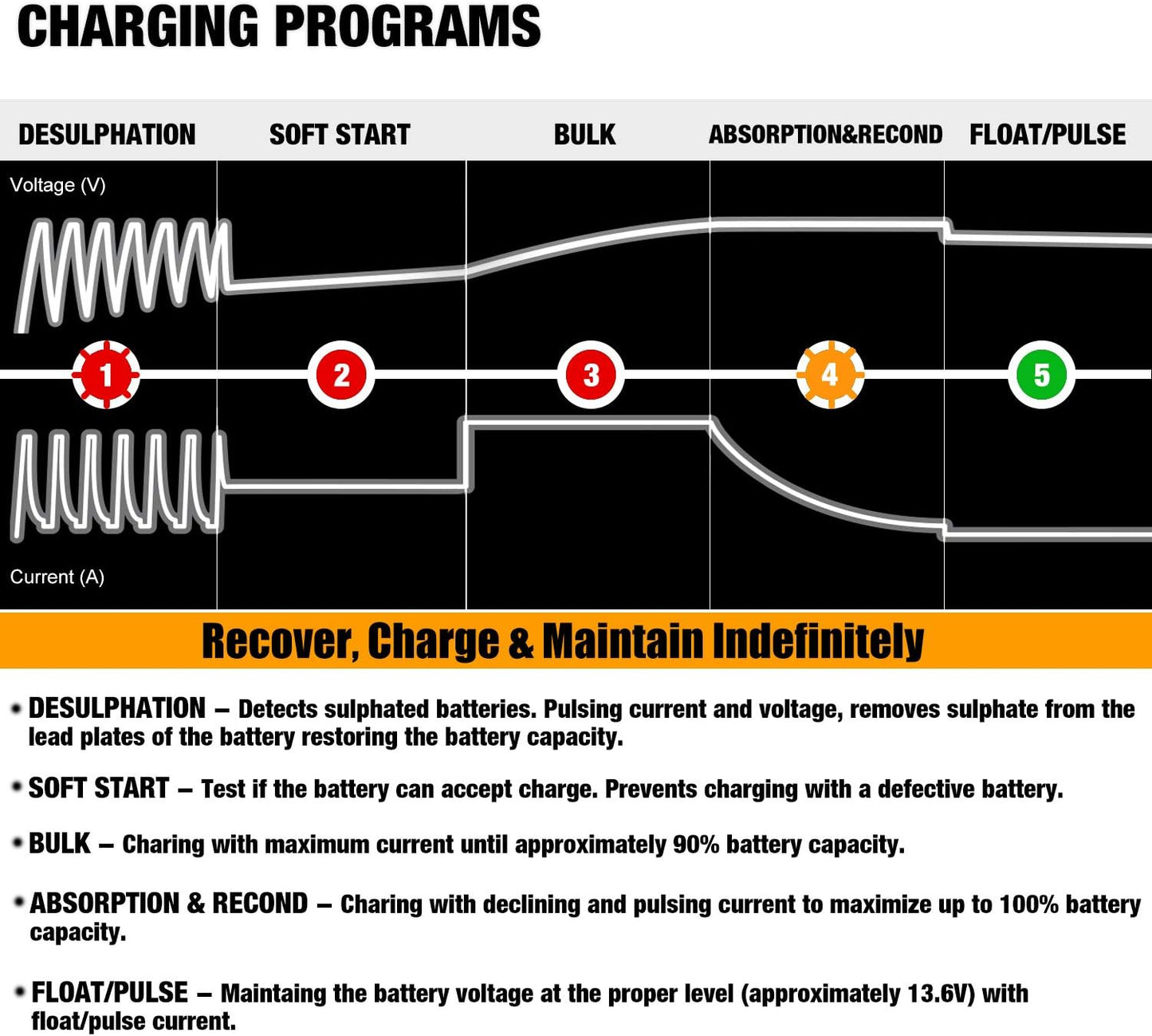 MOTOPOWER MP00205A 12V 800mA Fully Automatic Battery Charger/Maintainer