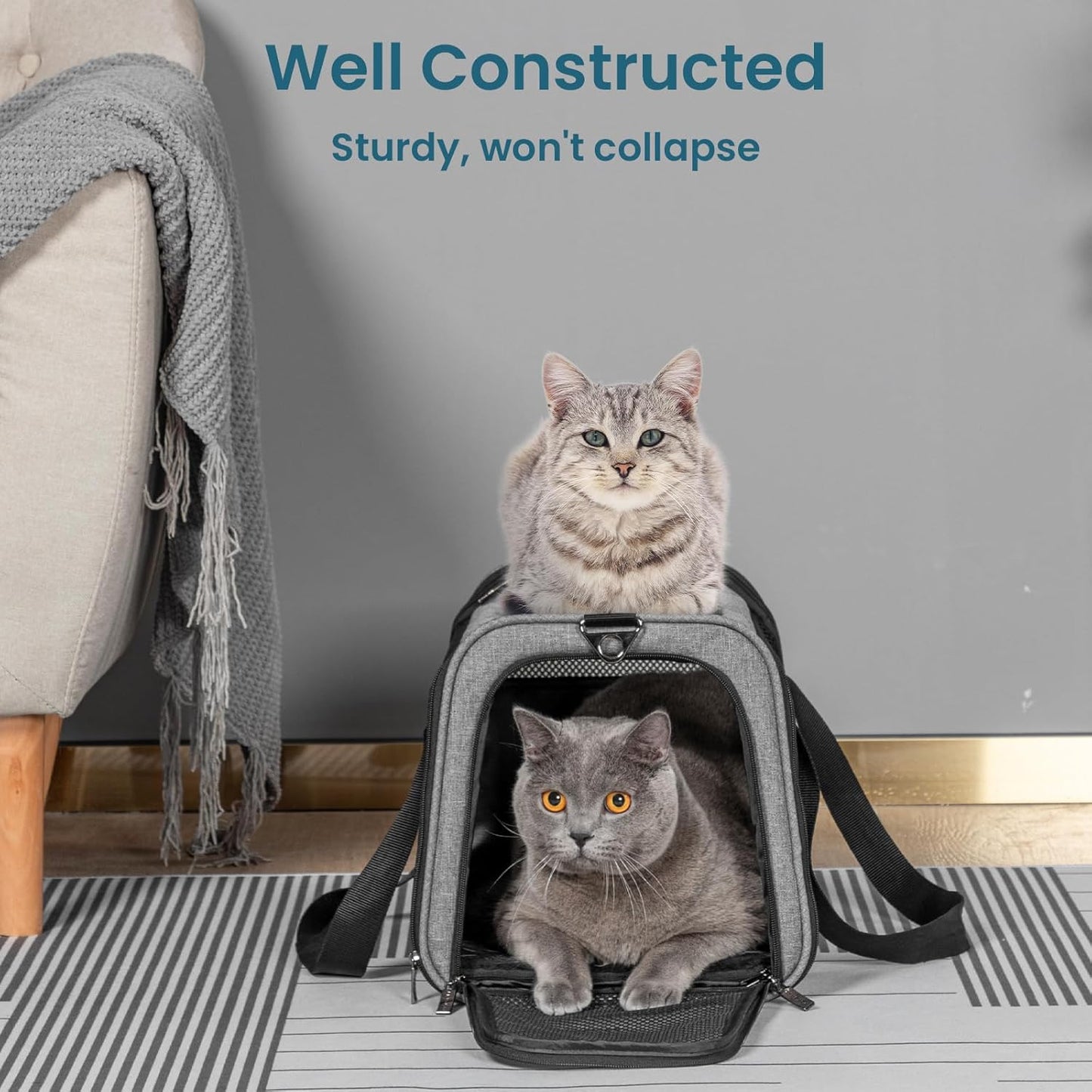 Petsfit Pet Carrier Airline Approved, Soft-Sided Cat Carrier with Patented Car Buckle, Lightweight and Collapsible with Adjustable Shoulder Strap, Soft Cushion,Green