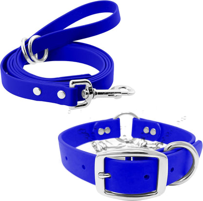 Regal Dog Products Small Orange Waterproof Dog Collar and Leash Set - Vinyl Coated, Biothane Puppy Pet Training Collar with Heavy Duty Center Ring & 5'ft Leash - Other Sizes for Medium & Large Dogs