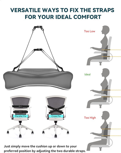 Purilite Select Ergonomic Lumbar Support Cushion