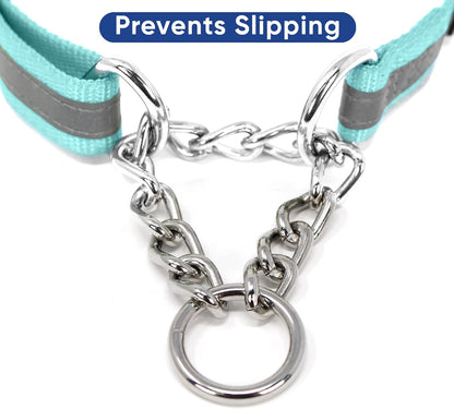 Pawtitas Chain Martingale Dog Collar Puppy Collar Reflective Dog Collar Training Dog Collar Behavioral Dog Chain Collar Collar Large Dog Collar Orange Dog Collar