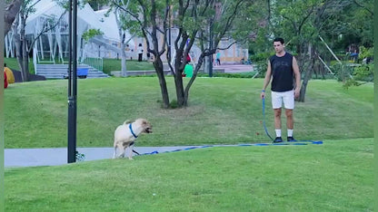 AMAGOOD Dog/Puppy Obedience Recall Training Agility Lead-15 ft 20 ft 30 ft 50 ft Long Leash-for Dog Training,Tie Out,Play,Safety,Camping (15 feet, Black)