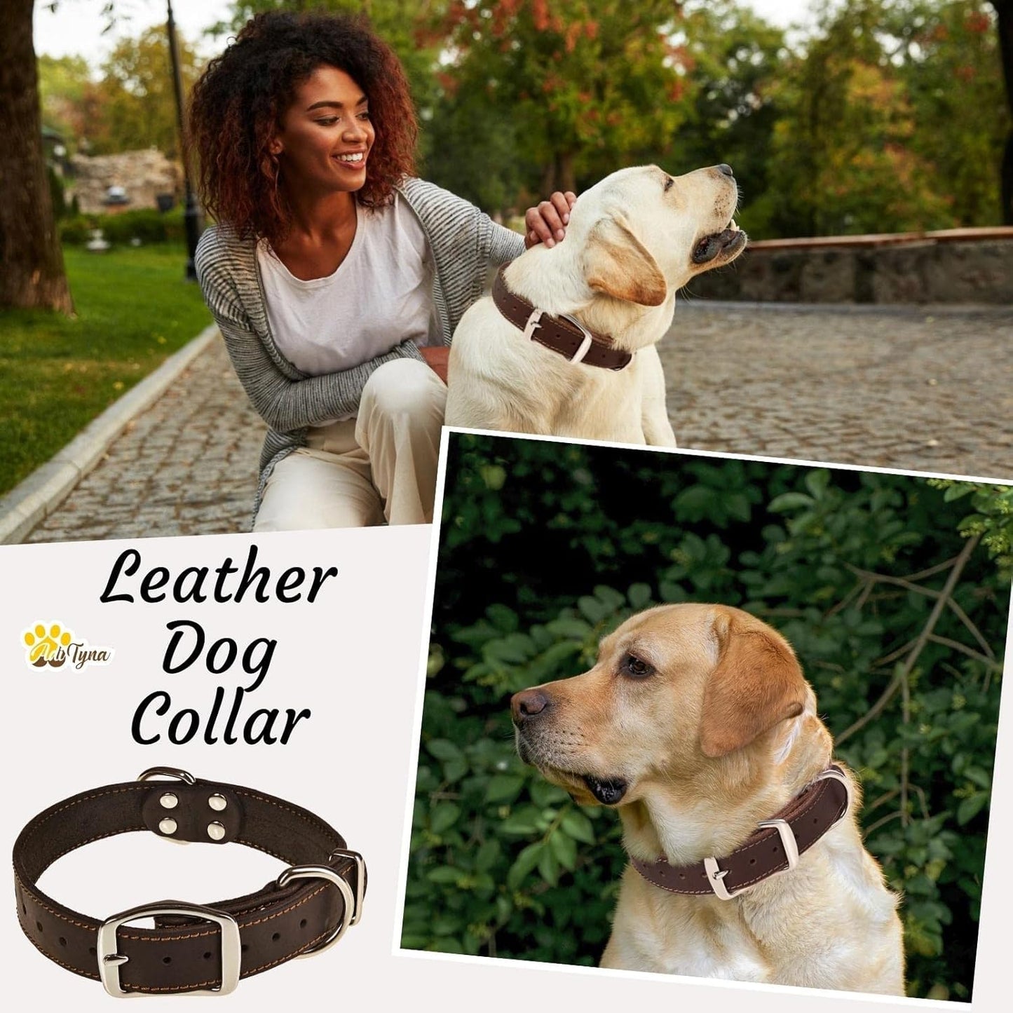 ADITYNA Heavy-Duty Leather Dog Collar for Medium Dogs - Soft and Strong, 100% Genuine Leather - Collier Pour Chien (Medium: Fit 13" - 20" Neck, Brown)