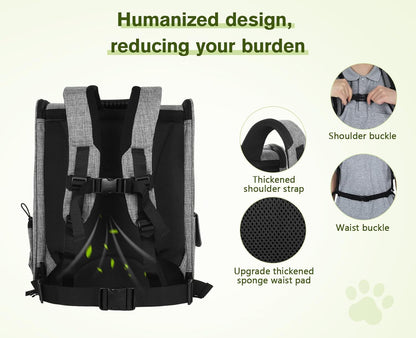 Pecute Cat Backpack with Breathable Mesh, Dog Backpack Carrier with Multi-Pockets for Cats Puppies, Pet Backpack Carrier for Travel Hiking Camping Outdoor （Gray）