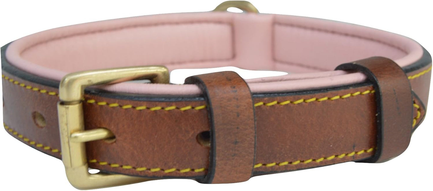 Soft Touch Collars Padded Leather Dog Collar, Large Brown - Genuine Real Leather, 24" Long x 1.5 Wide, Fits Neck Size 18" to 21" Inches