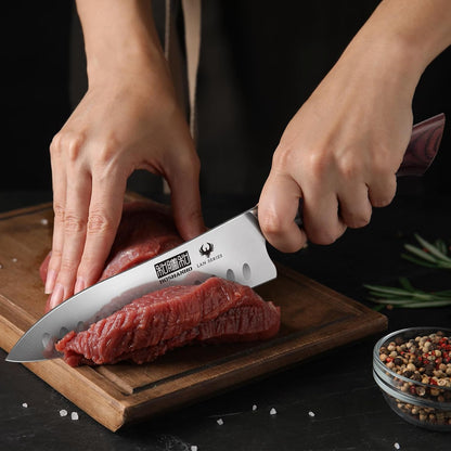 HOSHANHO Fillet Knife 7 Inch, Professional High Carbon Stainless Steel Boning Knife for Meat, Ultra Sharp Japanese Fish Fillet Knife with Ergonomic Wood Handle