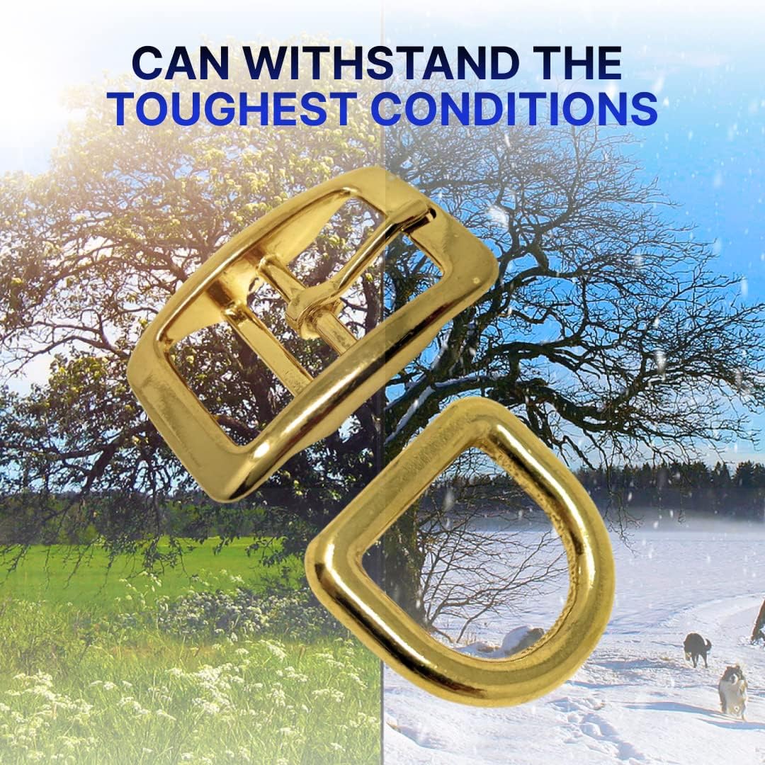 Regal Dog Products 1" Inch Double Bar Buckle and Matching D-Ring in Nickel Plated Hardware (6-pack)