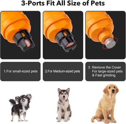 Casfuy Dog Nail Grinder with 2 LED Light - New Version 2-Speed Powerful Electric Pet Nail Trimmer Professional Quiet Painless Paws Grooming & Smoothing for Small Medium Large Dogs and Cats (Blue)
