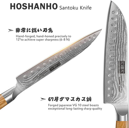 HOSHANHO Damascus Fillet Knife 7 Inch, Professional VG-10 Super Steel Boning Knife, Ultra Sharp Fish Knife with Ergonomic Handle