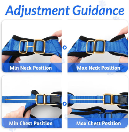 rabbitgoo Cat Harness and Leash for Walking, Escape Proof Soft Adjustable Vest Harnesses for Small Medium Cats, Easy Control Breathable Reflective Strips Jacket, XS, Black