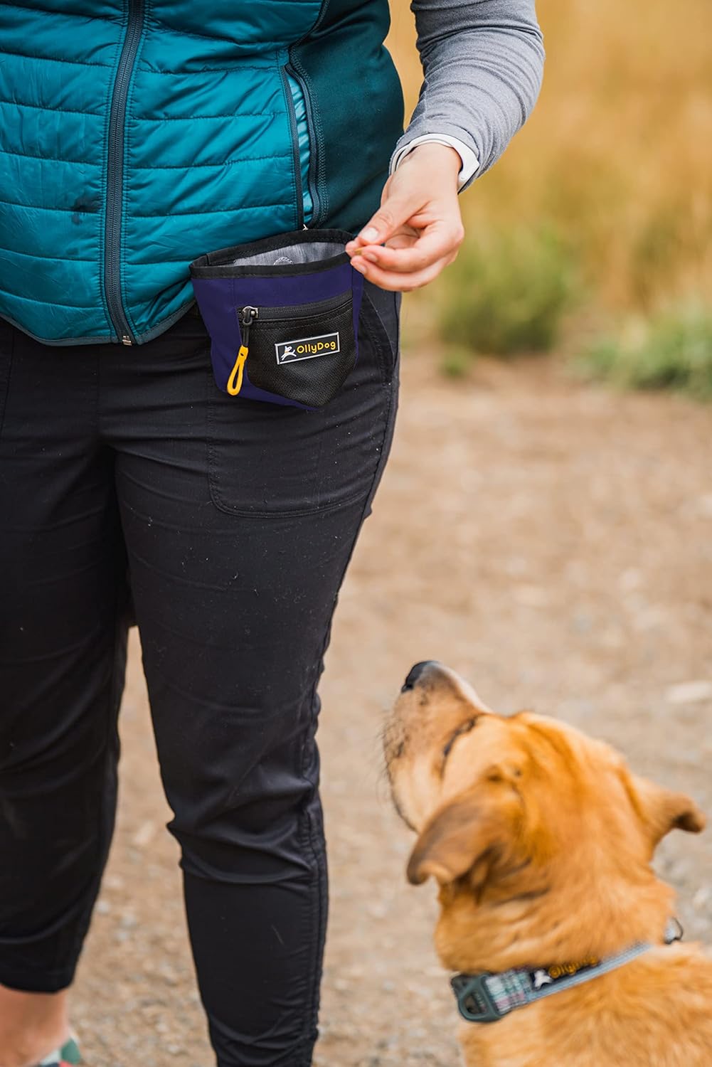 OllyDog Goodie Treat Bag, Dog Treat Pouch, Waist Belt Clip for Hands-Free Training, Magnetic Closure, Dog Training and Behavior Aids, Three Ways to Wear (Wet Weather)