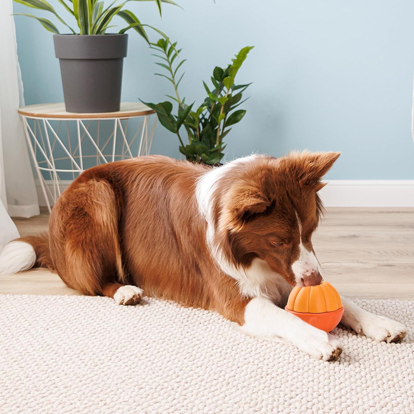LIFLIX 3 in 1 Frozen Treat Ball, Durable Enrichment Dog Toys, Nylon Chew Toys for Small Medium Large Dogs, Treat Dispensing Dog Toys to Keep Them Busy