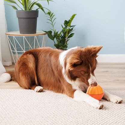 LIFLIX 3 in 1 Frozen Treat Ball, Durable Enrichment Dog Toys, Nylon Chew Toys for Small Medium Large Dogs, Treat Dispensing Dog Toys to Keep Them Busy