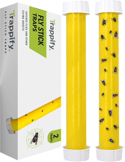 Trappify Hanging Fly Traps Outdoor: Fruit Fly Traps for Indoors | Fly Catcher, Gnat, Mosquito, & Flying Insect Catchers for Inside Home - Disposable Sticky Fly Trap for Indoor House Pest Control (2)