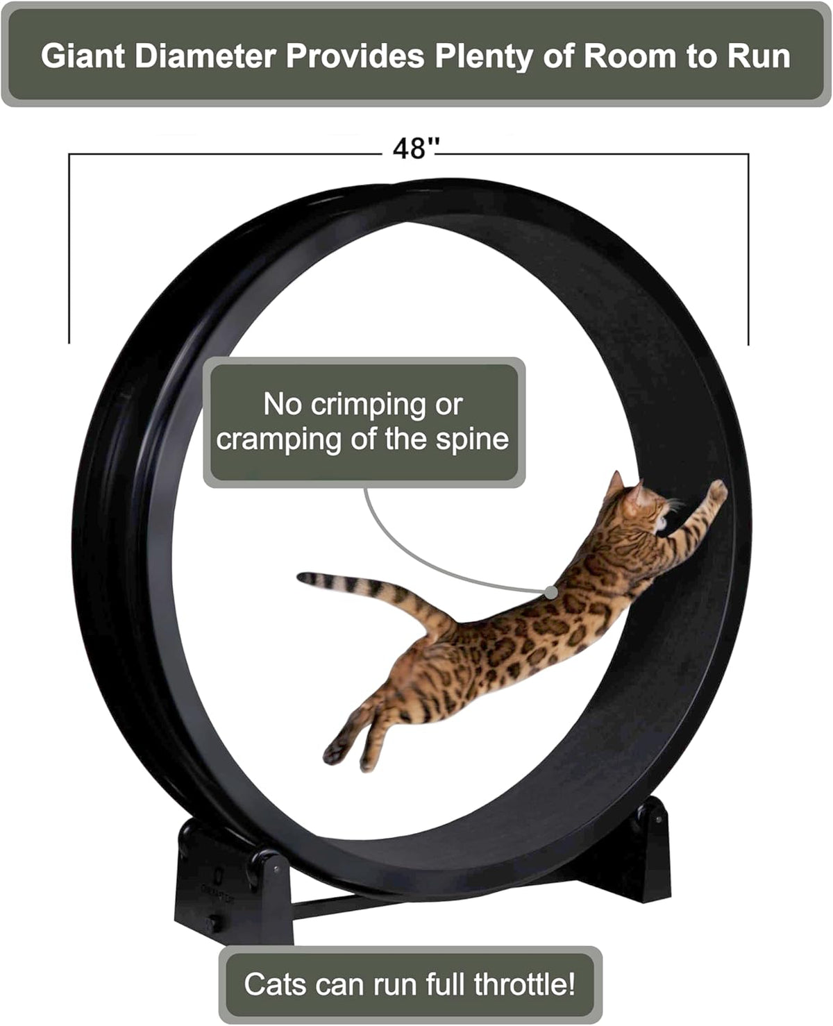 ONE FAST CAT - Cat Exercise Wheel - Gen. 7 - Safe 48" Diameter - Made in The USA - Black Wheel with Black Felt Traction Pads