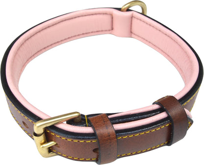 Soft Touch Collars Padded Leather Dog Collar, Large Brown - Genuine Real Leather, 24" Long x 1.5 Wide, Fits Neck Size 18" to 21" Inches