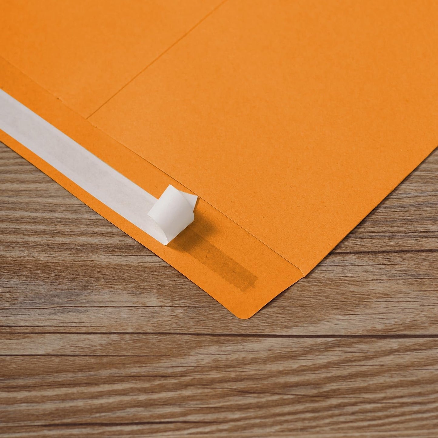 Tanshuqin 9" x 12.75" Self-Seal Catalog Envelopes 32lb Kraft Envelopes for Invitation Cards, Organizing and Storage, Pictures, Photos, Documents (100 PCS)