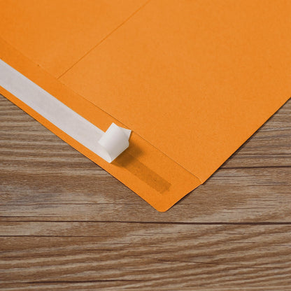 Tanshuqin 9" x 12.75" Self-Seal Catalog Envelopes 32lb Kraft Envelopes for Invitation Cards, Organizing and Storage, Pictures, Photos, Documents (100 PCS)