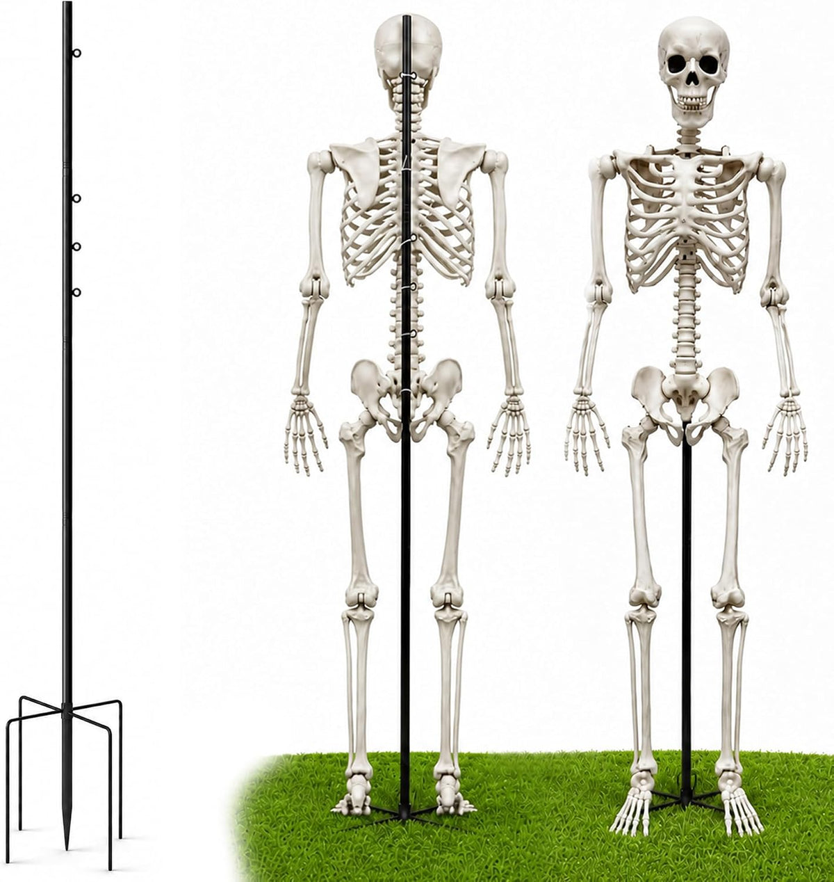 Metal Skeleton Pose Stand, Widened Halloween Skeleton Stand for 5.4Ft