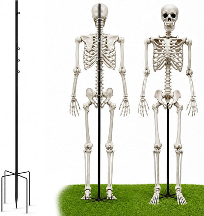 Metal Skeleton Pose Stand, Widened Halloween Skeleton Stand for 5.4Ft